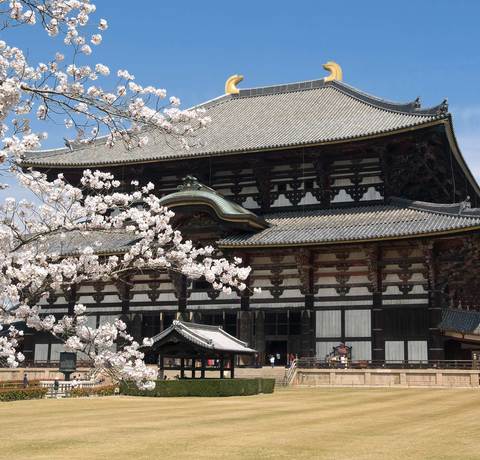 Jesień - Świątynia Todaiji w Japonii