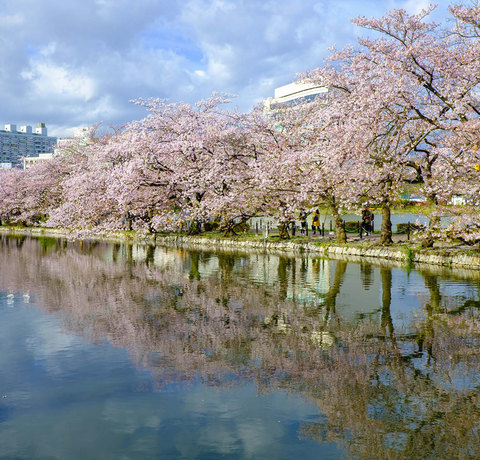 Park Ueno w Tokio