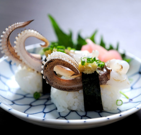 Kałamarnice sushi