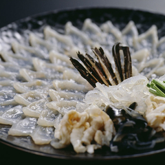 Sashimi z ryby Fugu